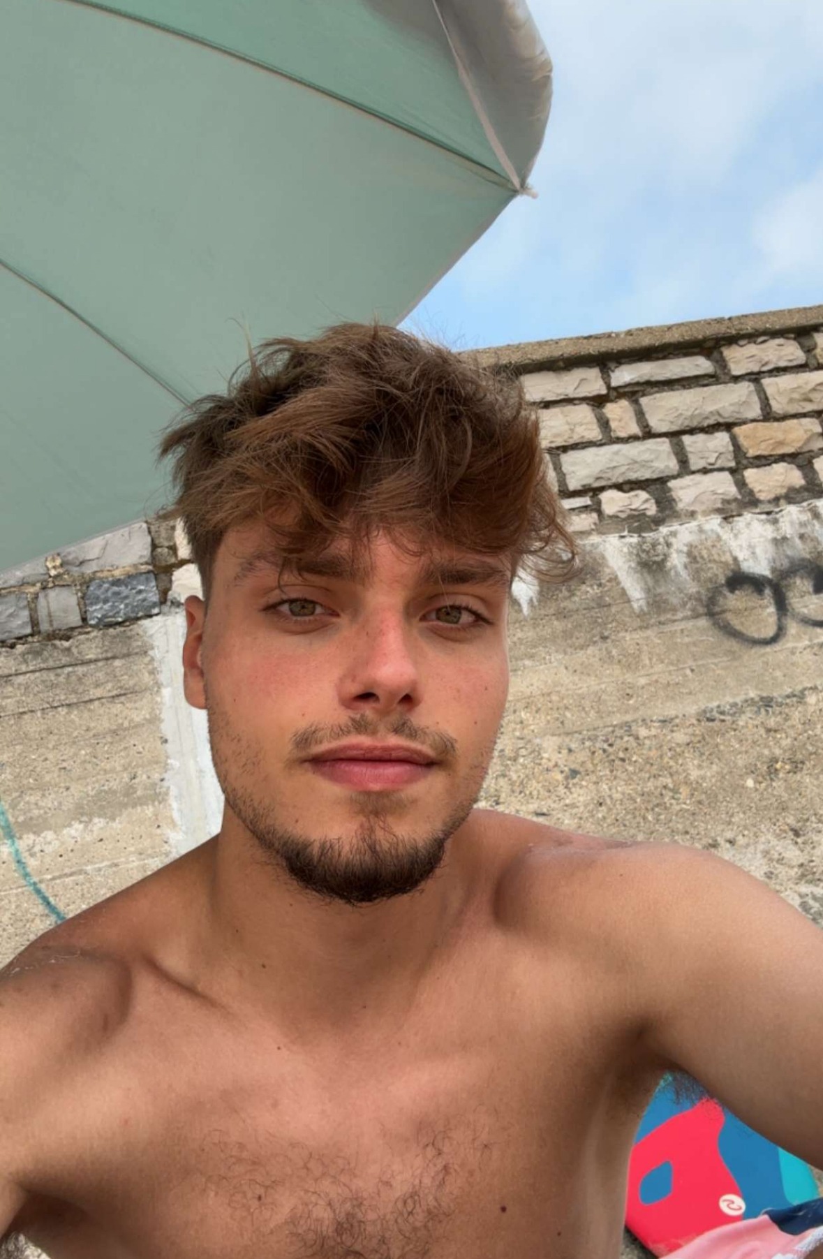Andro - Saint-Philibert - Morbihan | Plan cul